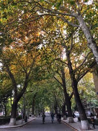 Image 483724078