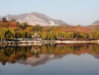 Image 483724088