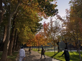 Image 483725952