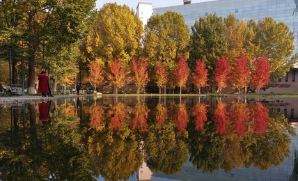 Image 483725964