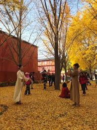 Image 483725985
