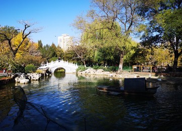 Image 483726044