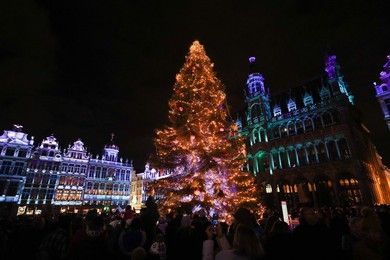 Image 485631884