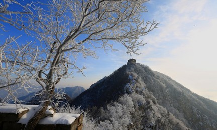 Image 485679703