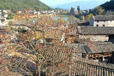 Image 485826816