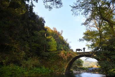 Image 485829657