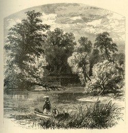 Image 488287943