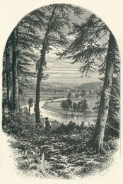 Image 488289637