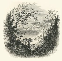 Image 488291849