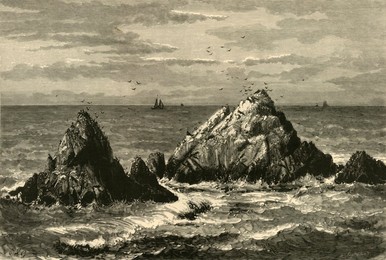 Image 488292154