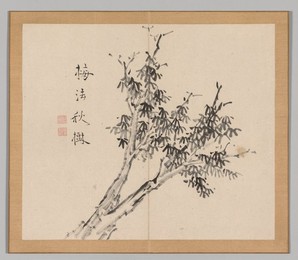 Image 488341378