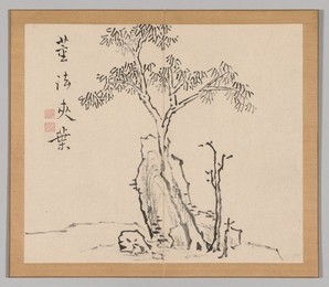 Image 488341457