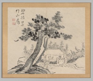 Image 488341695