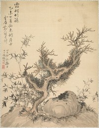 Image 488360737