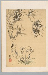 Image 488417647