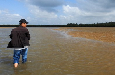 Image 489330084