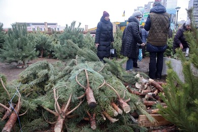 Christmas tree market in Kharkiv