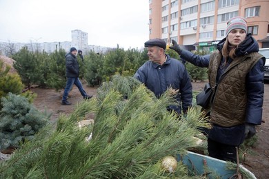Christmas tree market in Kharkiv