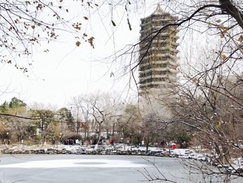 Image 490514679