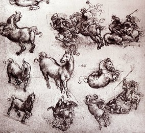 Image 491308465