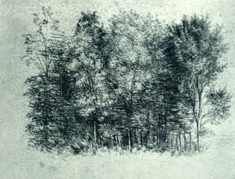 Image 491309831