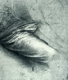 Image 491312455