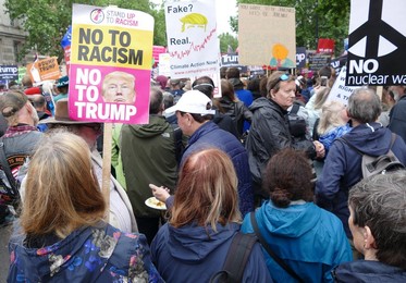 Image 491329886