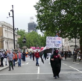 Image 491330662