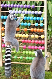 Image 491467012