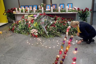 Image 491779541