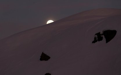 Image 492026212