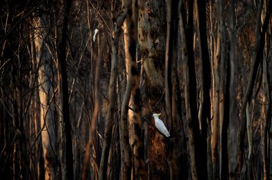 Image 492112946