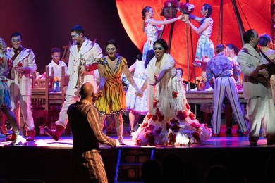 Cirque Du Soleil LUZIA