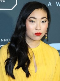 25th Annual Critics' Choice Awards