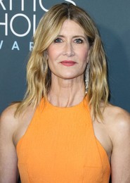 25th Annual Critics' Choice Awards