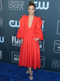 25th Annual Critics' Choice Awards