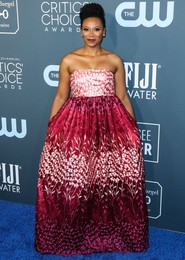 25th Annual Critics' Choice Awards