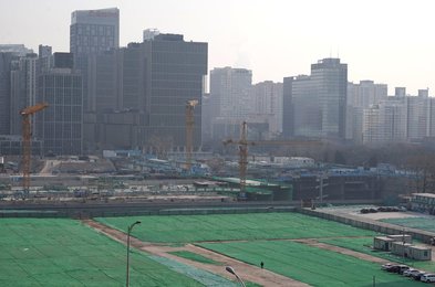 Image 493216527
