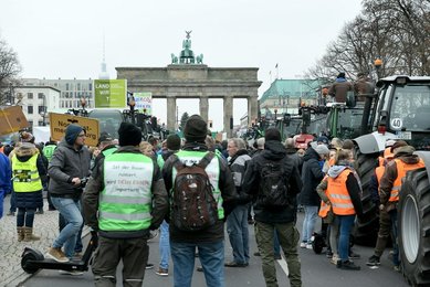 Image 493299162