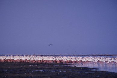 Image 495042141
