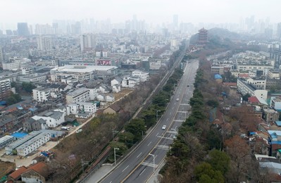 Image 495112738