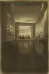 Image 495423109