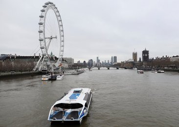 Image 495727255