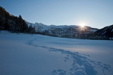 Winterlandschaft - Winter Landscape