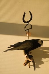 Image 495830327
