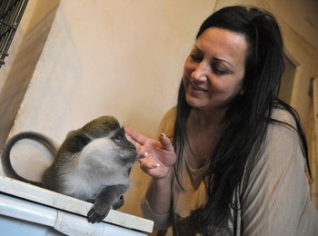 Image 496595042