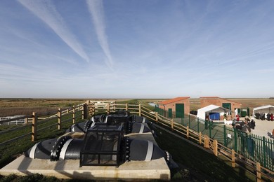 Image 496614949