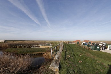 Image 496614958