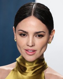 2020 Vanity Fair Oscar Party