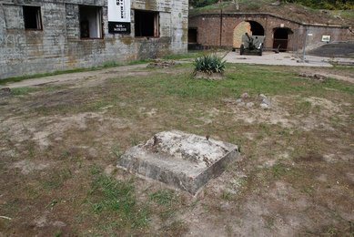 Image 498183916
